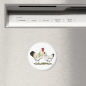 Indische rivierkippen magneet (Insitu (Vaatwasser))