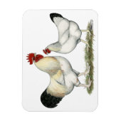 Indische rivierkippen magneet (Verticaal)