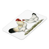 Indische rivierkippen magneet (Linkerzijde)