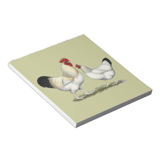 Indische rivierkippen notitieblok (Schuin)