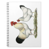 Indische rivierkippen notitieboek (Voorkant)