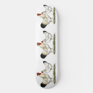 Indische rivierkippen skateboard