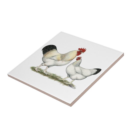 Indische rivierkippen tegeltje (Zijkant)