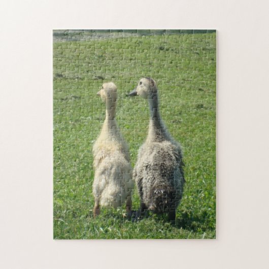 Indische Runner Ducklings Legpuzzel (Verticaal)