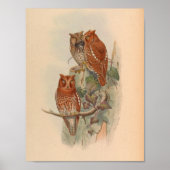 Indische SACHOwl Brown  Bird Art Print (Voorkant)