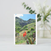 Indische scheut (Canna indica purpurea) Briefkaart (Staand voorkant)