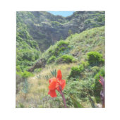 Indische scheut (Canna indica purpurea) Notitieblok (Voorkant)