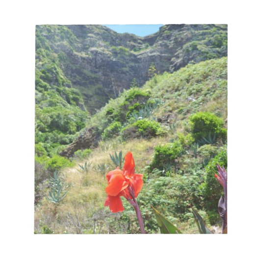 Indische scheut (Canna indica purpurea) Notitieblok (Voorkant)