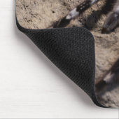 Indische siertarantula muismat (Hoek)