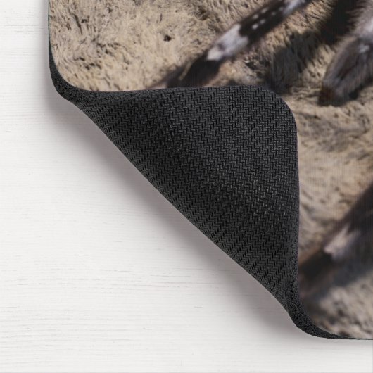 Indische siertarantula muismat (Hoek)