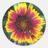 Indische sticker voor bloemen (Voorkant)