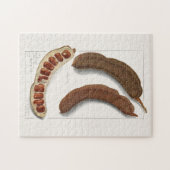 Indische Tamarind (Tamarindus Indica) Schilpen Legpuzzel (Horizontaal)