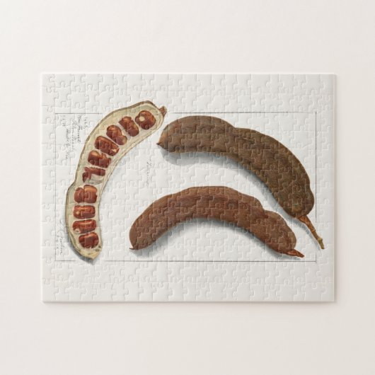Indische Tamarind (Tamarindus Indica) Schilpen Legpuzzel (Horizontaal)