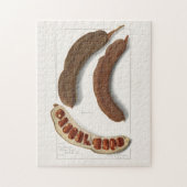 Indische Tamarind (Tamarindus Indica) Schilpen Legpuzzel (Verticaal)