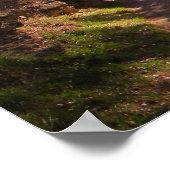 Indische tuin poster (Hoek)