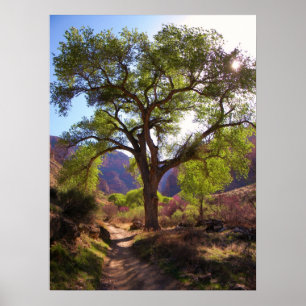 Indische tuin poster