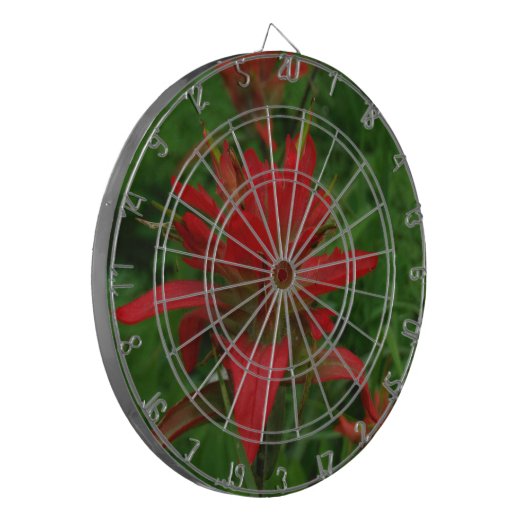 Indische verfborstel dartbord (Voorkant Links)