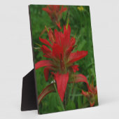 Indische verfborstel fotoplaat (Zijkant)