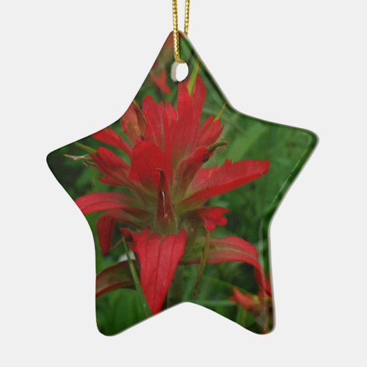 Indische verfborstel keramisch ornament (Links)