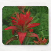 Indische verfborstel muismat (Voorkant)