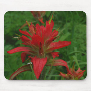 Indische verfborstel muismat