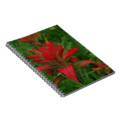 Indische verfborstel notitieboek (Rechterzijde)