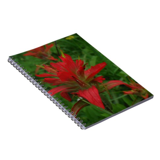 Indische verfborstel notitieboek (Rechterzijde)