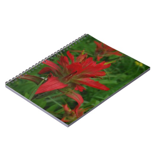 Indische verfborstel notitieboek (Linkerzijde)