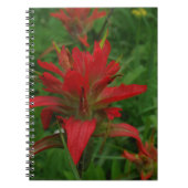 Indische verfborstel notitieboek (Voorkant)