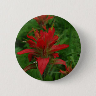 Indische verfborstel ronde button 5,7 cm