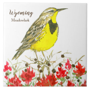 Indische verfkwast Meadowlark Wyoming Souvenir Tegeltje