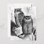 Indische Vist Vintage houtengravering Briefkaart (Voorkant / Achterkant)