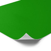 Indische vlag poster (Hoek)