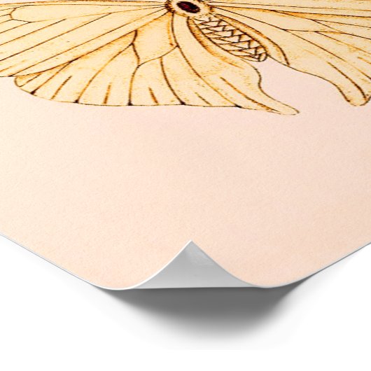  Indische vlinders Poster (Hoek)