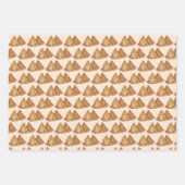 Indische voedingsgroenten, gebakken met Samosa Pas Inpakpapier Vel (Voorkant 3)