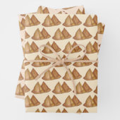 Indische voedingsgroenten, gebakken met Samosa Pas Inpakpapier Vel (In situ)