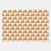 Indische voedingsgroenten, gebakken met Samosa Pas Inpakpapier Vel (Voorkant)