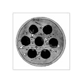 Indische voedselcuisine Malai Kofta Vegetarian Dis Rubberstempel (Afrduk)