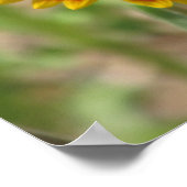 Indische wilde bloemen poster (Hoek)