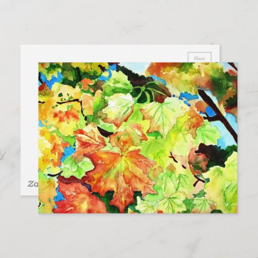 Indische zomer briefkaart (Voorkant / Achterkant)