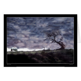 Indische zonsondergang