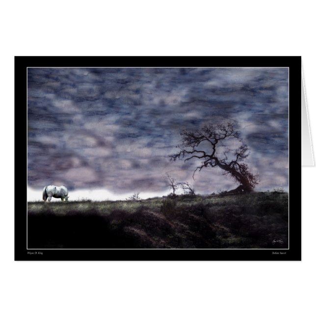 Indische zonsondergang (Voorkant Horizontaal)