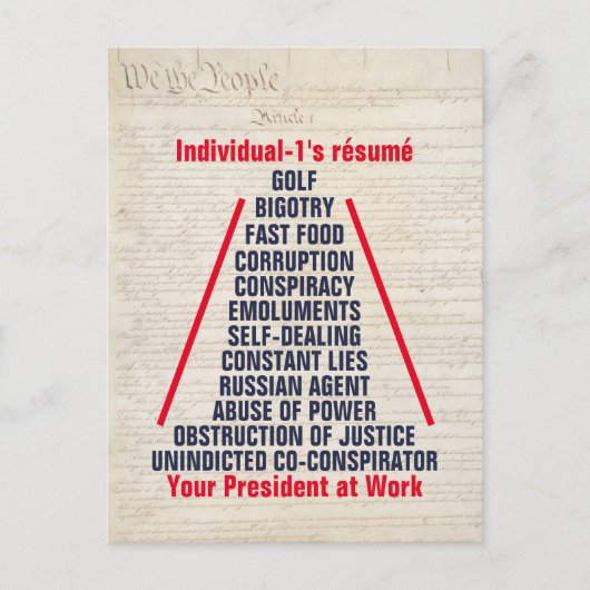 Individueel-1 Trump Collusie Obstructie jan 2019 Briefkaart (Voorkant)