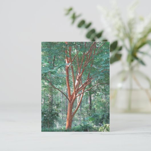 individueel briefkaart (Staand voorkant)