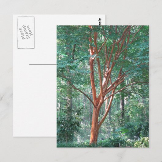 individueel briefkaart (Voorkant / Achterkant)