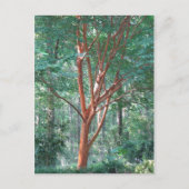 individueel briefkaart (Voorkant)