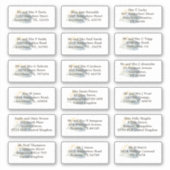 Individuele bruiloft gast naam adres blauw ombre sticker (Voorkant)