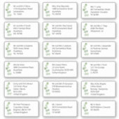 Individuele bruiloft Gast Naam Adres Eucalyptus Sticker (Voorkant)