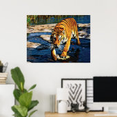 Individuele effecten Dieren 2 myk Poster (Thuiskantoor)
