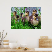 Individuele effecten Vogels 11 wazig Poster (Keuken)